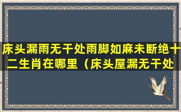 床头漏雨无干处雨脚如麻未断绝十二生肖在哪里（床头屋漏无干处 雨脚如麻未断绝修辞手法）